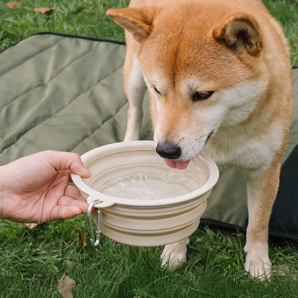 Collapsible Silicone Dog Bowl-Urban Roaming