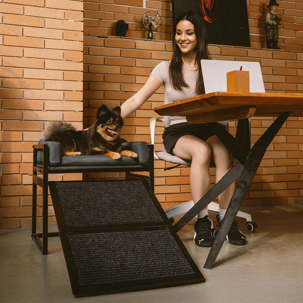 Elevated Pet Sofa Bed with Stairs Ramp for Bed Bedside Lounge or Dog Window Perch