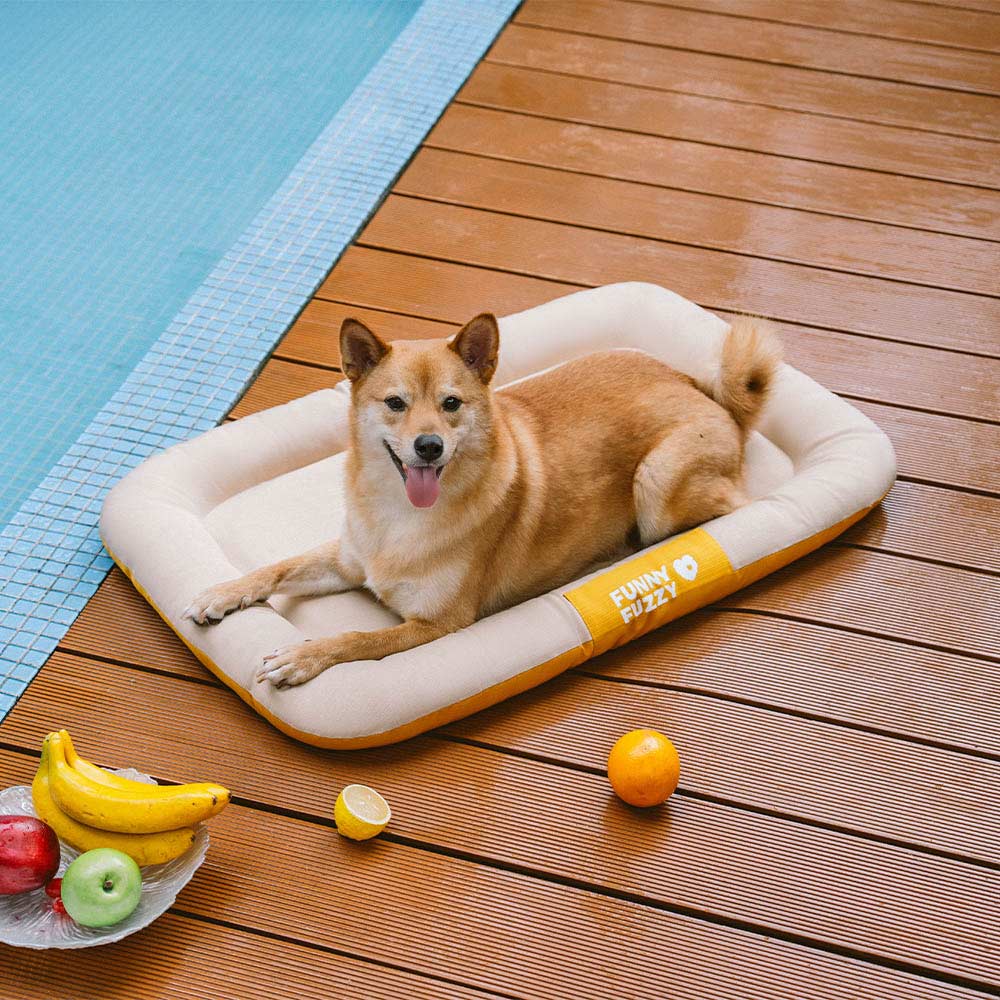 Outdoor Waterproof ＆ Chew-proof Memory Foam Orthopedic Dog Mat - Trek Lounge - Image 22