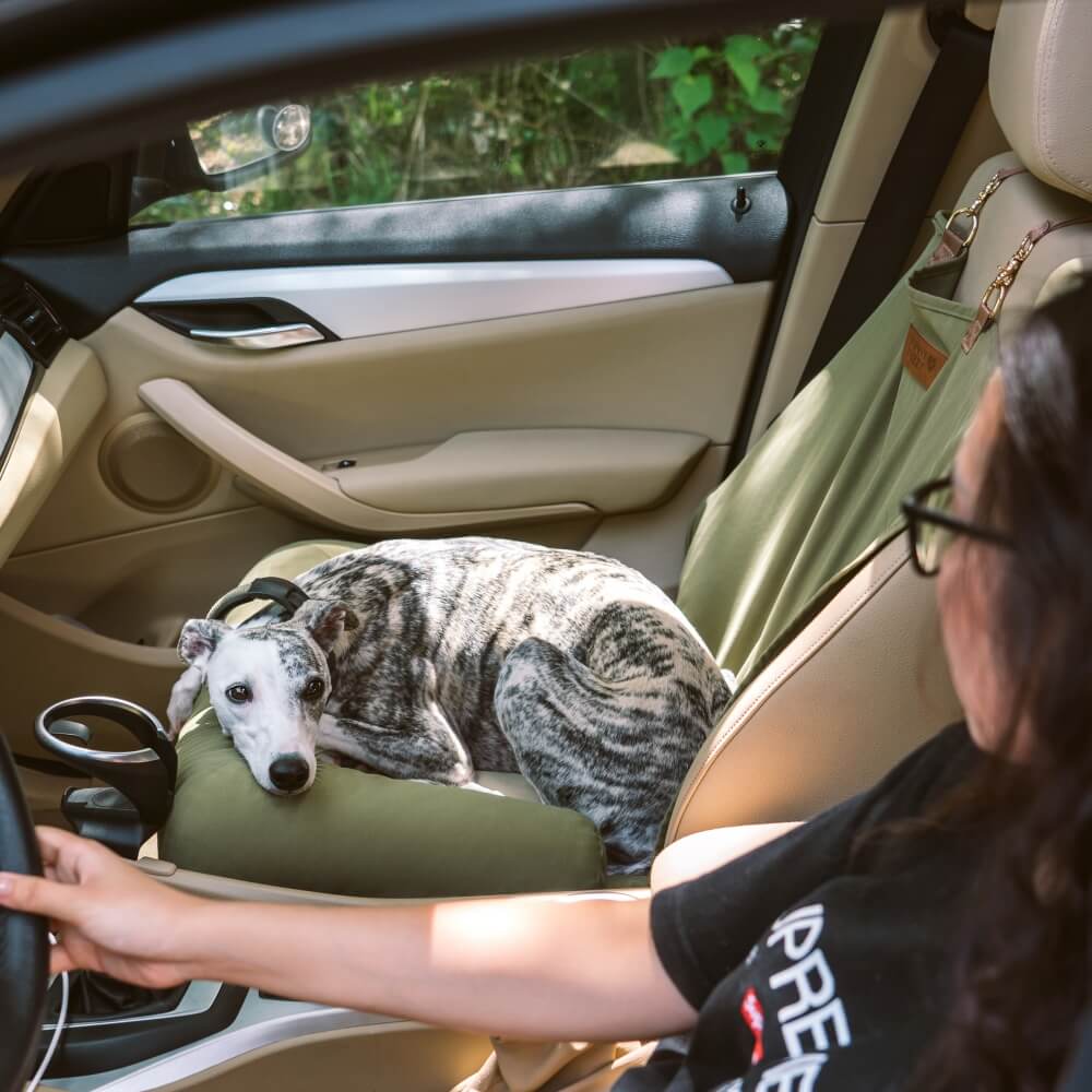 Travel Bolster Safety Back Seat Large Dog Car Seat Bed - Chessboard Lounge - Image 4